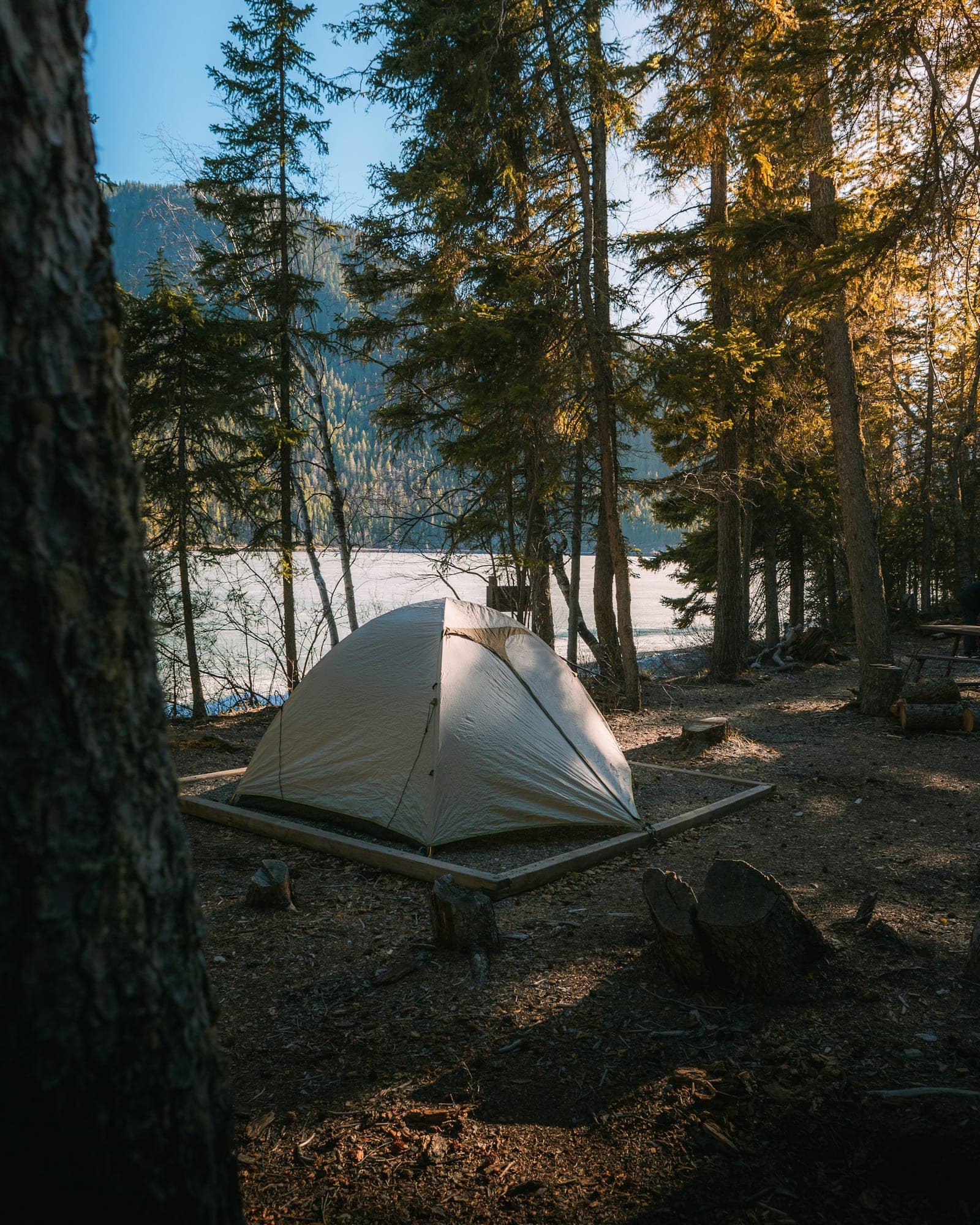 A tent among trees beside a lake in British Columbia — illustrative image